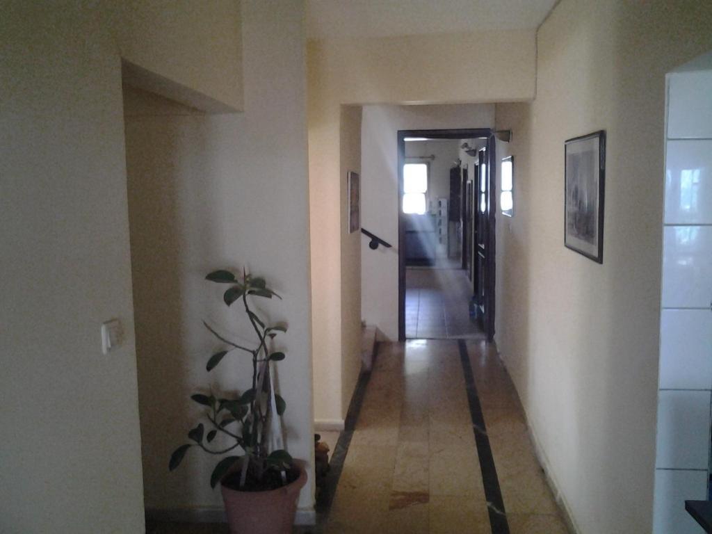 Guven Hotel Alanya Bagian luar foto
